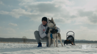 Ездовой спорт