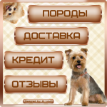 Меню группы компании Mini-pes.ru по продаже щенков