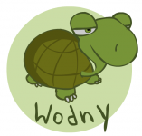 Wodny