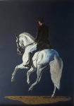 Dressage