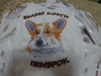 картинка на футболке