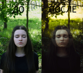Работа 3057944