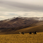 NOMADIC ASIA