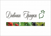 Логотип Дивная Грядка