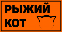 рыжий кот