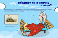 выставочный планшет