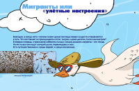 выставочный планшет