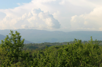 Georgia