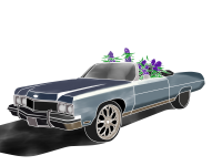 Работа 3056041