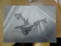 Рисунок (киты)