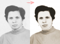 Работа 2943236