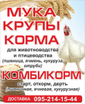 банер Крупы