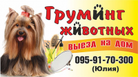 Визитка груминг