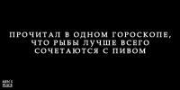 Слоган