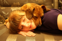 Работа 818073