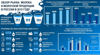 Обзор рынка молока в России