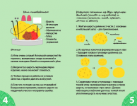 Верстка инструкции