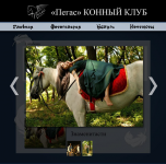 для фирмы "Пегас"