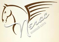 для фирмы "Пегас"