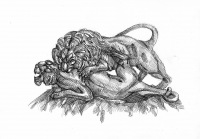 "Львы" (графика)