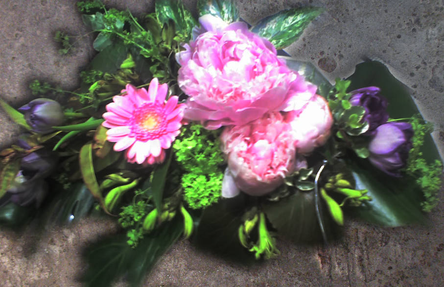 pic2322635.jpg
