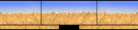 Field