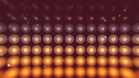 Circus