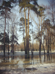 Парк Торфянка