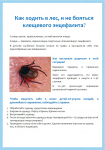 Как ходить в лес, и не бояться клещевого энцефалита?