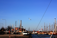 boats