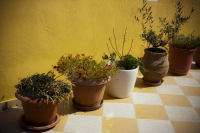 pots