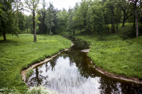 forest river
