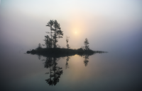 Reflection