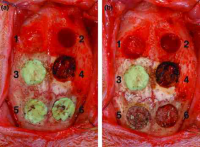 Кандидатская диссертация