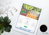 Landing Page Concept для Службы доставки Mr.Fresh