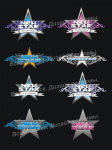 New star - конкурс по сноубордингу