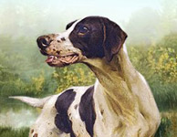 СКМ Индустрия.