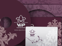 VIP Connections