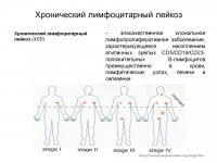 Презентация к защите магистерской работы в СПбГУ
