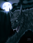 Night of the Werewolf