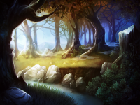 Forest Landscape