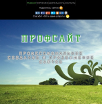 Моё портфолио