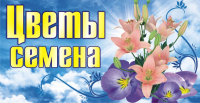 банер7