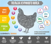 Инфографика о пользе куриного мяса