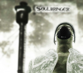 Проект Soulbringer