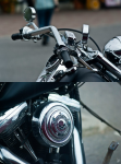 Harley