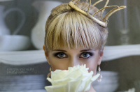 Работа 1704006
