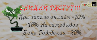 Баннер
