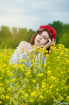 Yellow colors
