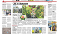 Работа 2974210